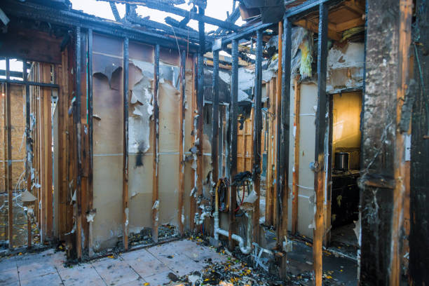 Professional Fire Damage Removal technician working in Ford Heights, IL